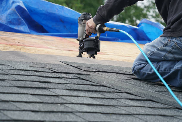 Roof Gutter Cleaning in East Northport, NY